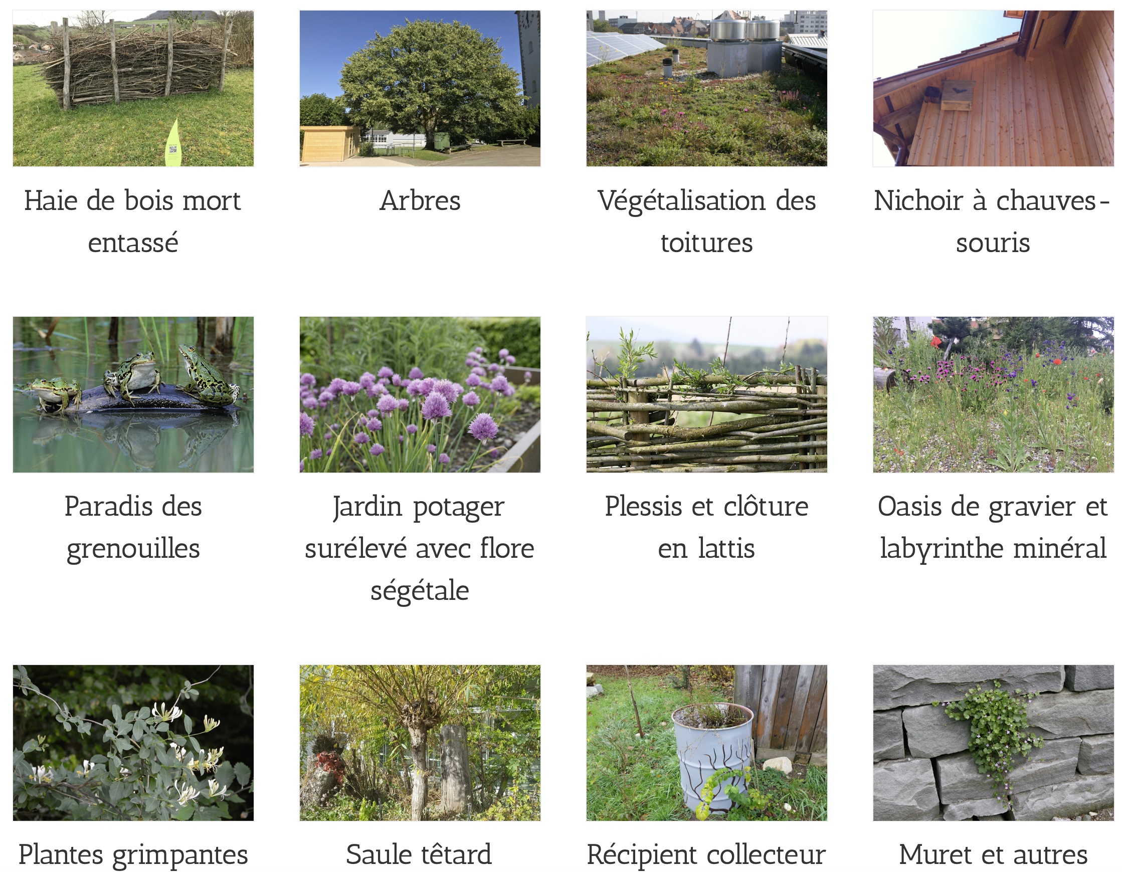 Modules nature, Jardin Suisse