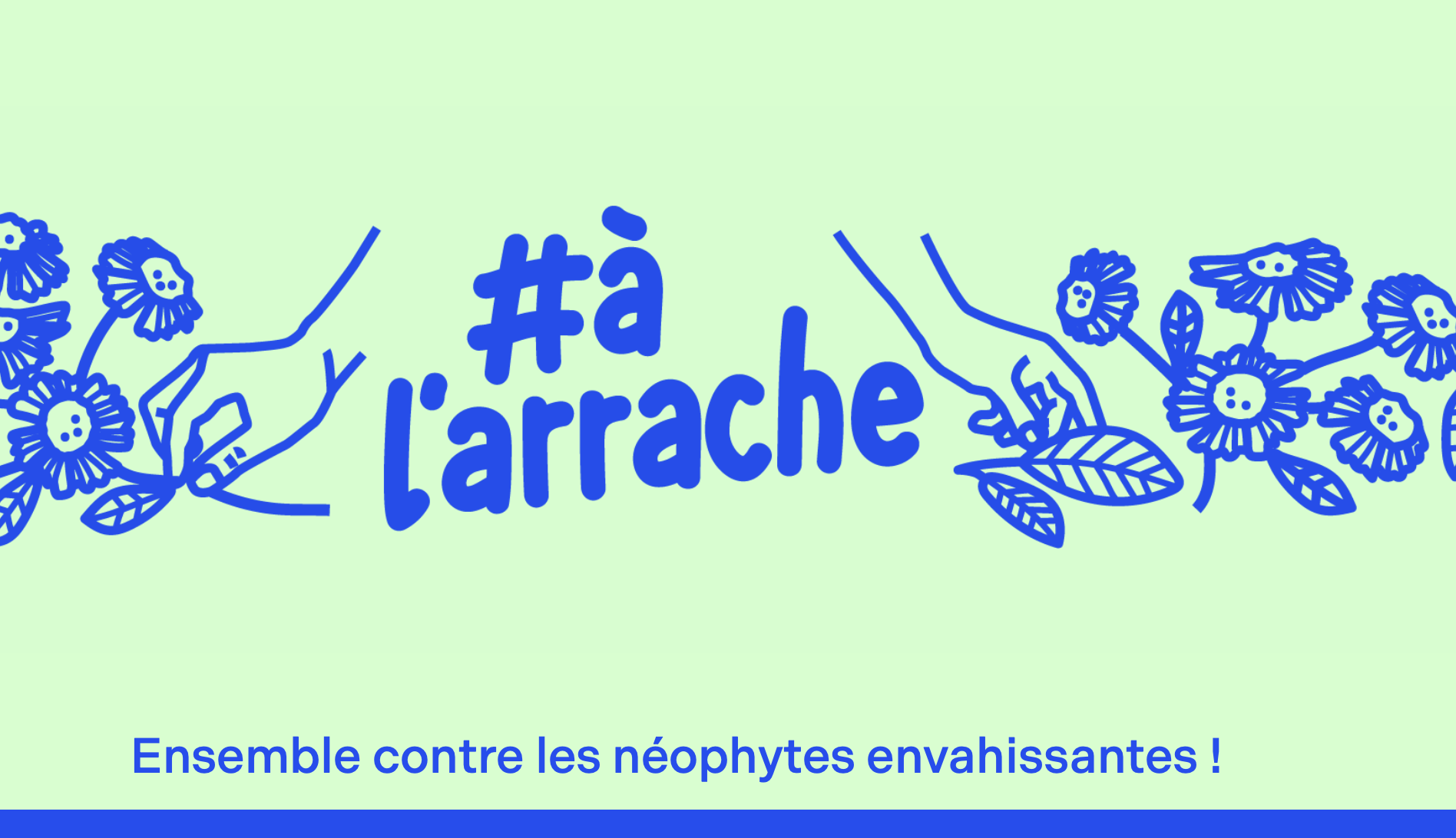 Comprendre la biodiversité – s’engager pour une biodiversité indigène forte