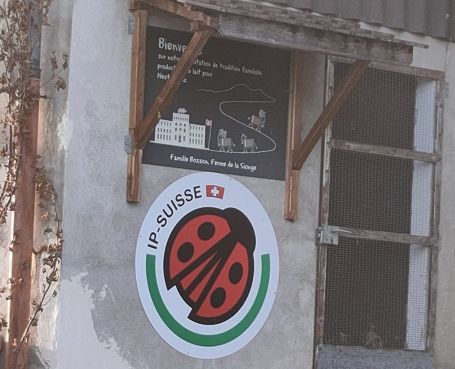 Mise en réseau avec des entreprises locales